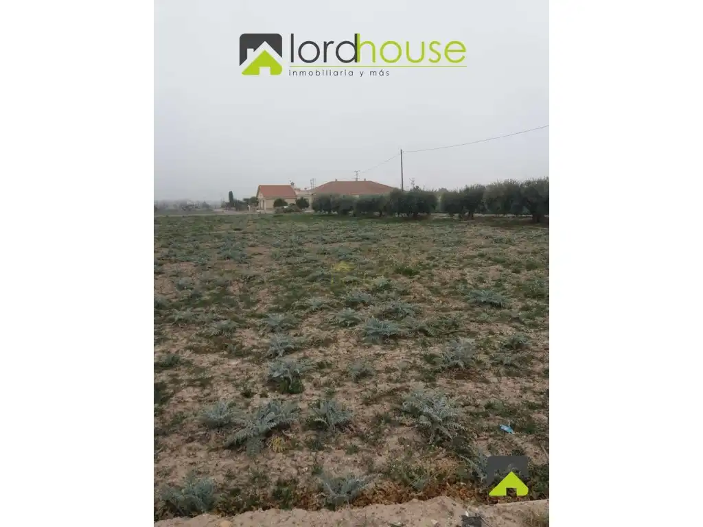 Residential land for sale in Diseminado la Tercia, 81 81, imagen 6