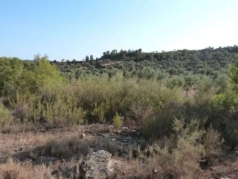 Finca rústica en venta en Calaceite