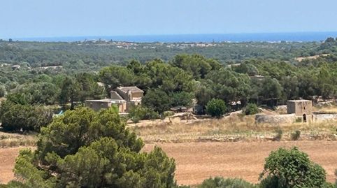 Un terreno edificable de ensueño cerca de Manacor, imagen 2