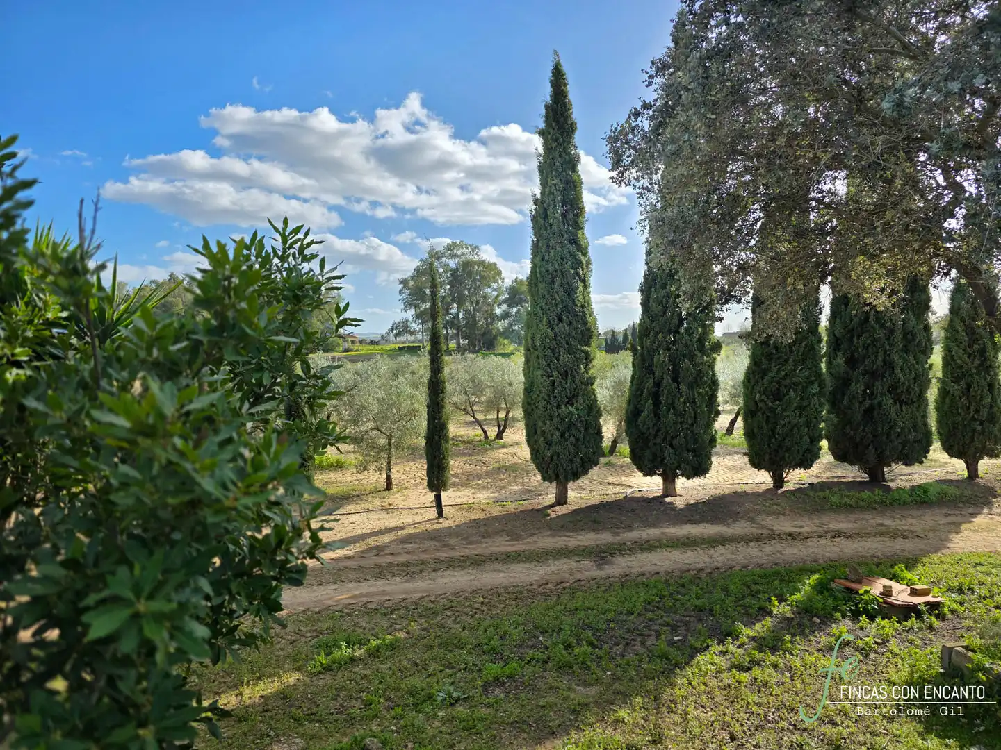 Garden of Country homes for sale in Marchena  with Swimming Pool and Alarm