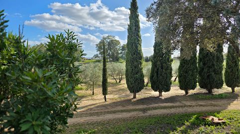 Foto 4 von Country house zum Verkauf in Marchena, Sevilla