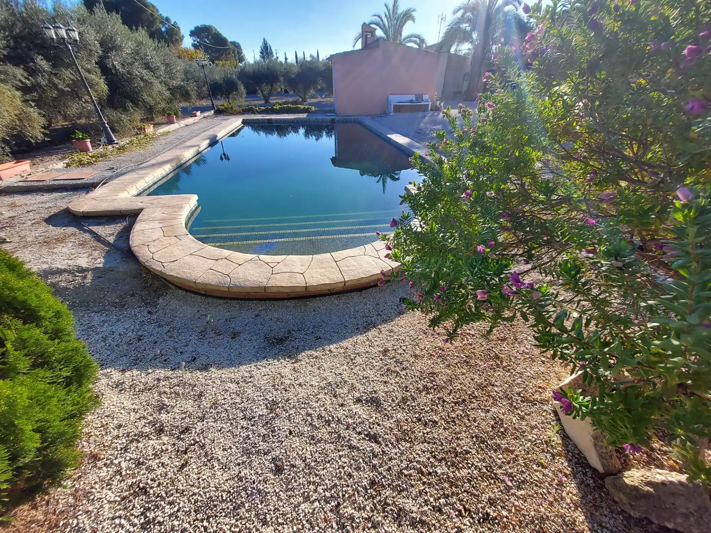 Piscina de Finca rústica en venta en Calasparra con Jardín privado y Piscina