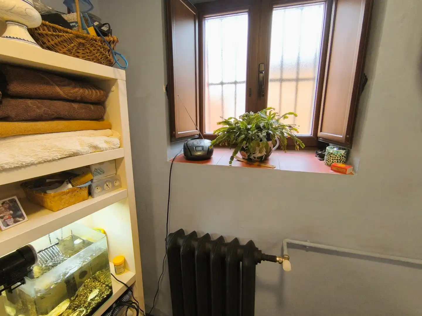 Finca rústica en venta en Amusco, Palencia