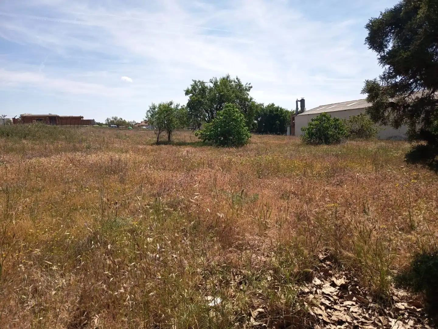 Terreny industrial en venda en El Viso de San Juan