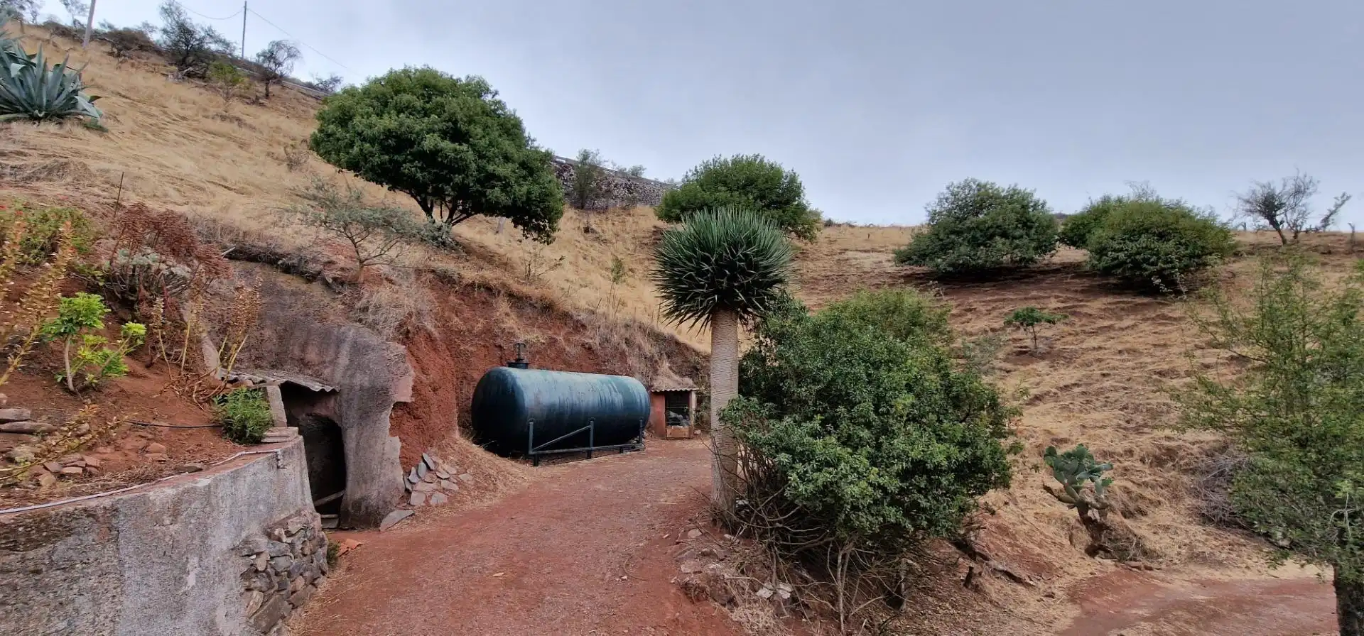 Vista exterior de Casa o chalet en venta en Gáldar con Trastero
