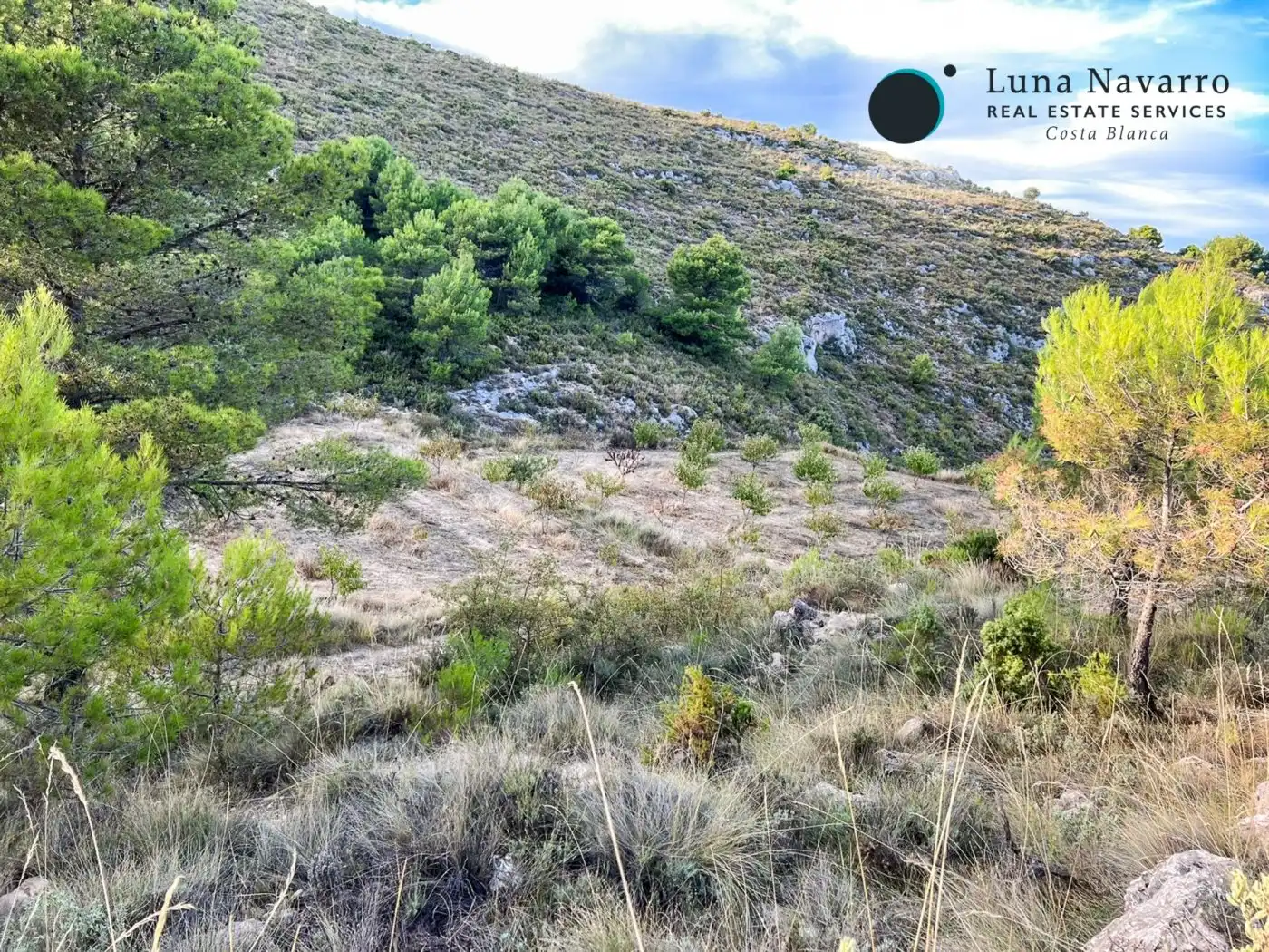 Terreno en venta en Calle San Antonio, 50, Confrides