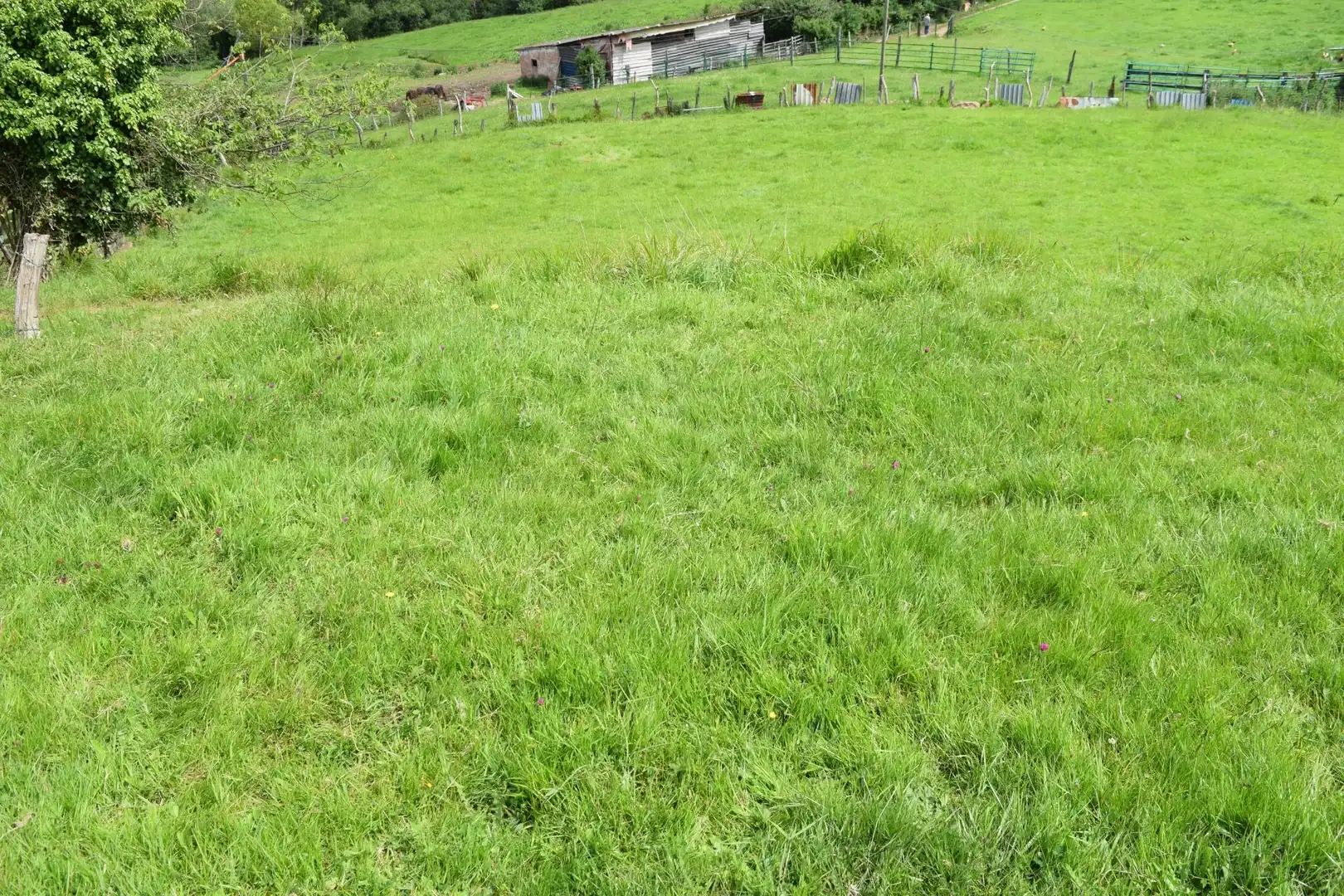 Terreno residenziale in vendita a Carretera Los Molinos 19, imagen 15