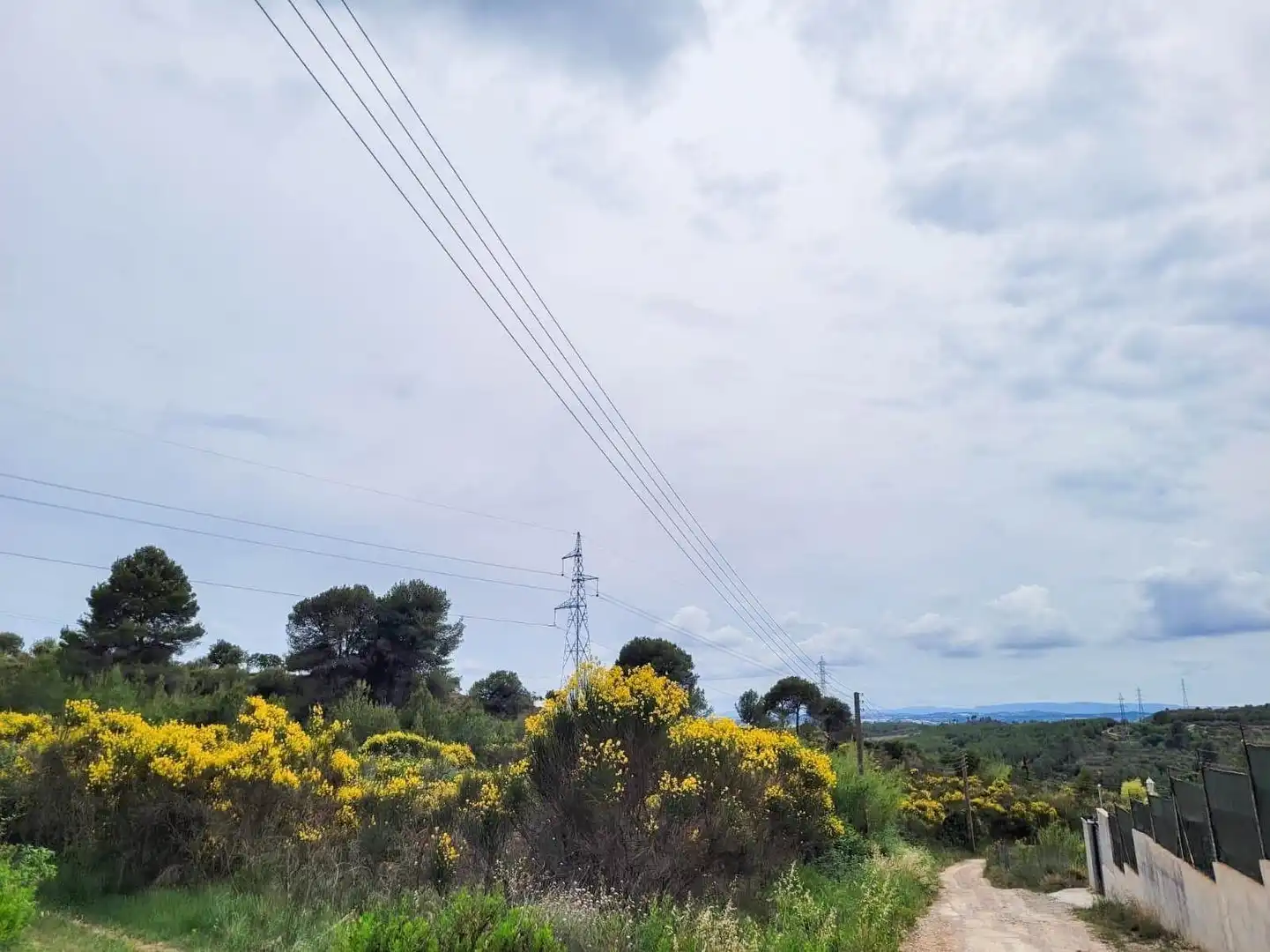 Terreno rústico en venta en Castellbisbal, imagen 19