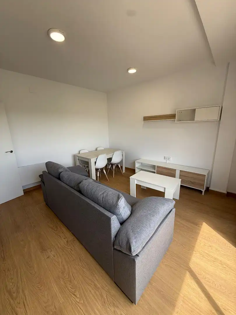 Sala de estar de Piso de alquiler en Huerta de Valdecarábanos