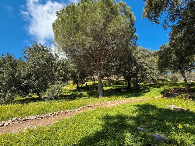 Terreno en Venta en  Paraje de Celima, en Casares pueblo