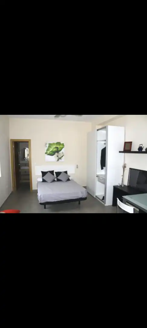 Schlafzimmer von Wohnung zur Miete in Málaga mit Möbliert