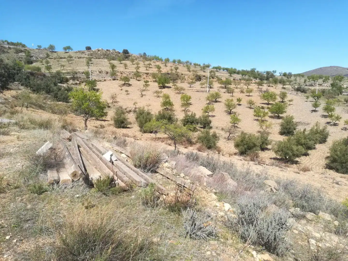 Terreno en venta en Tahal