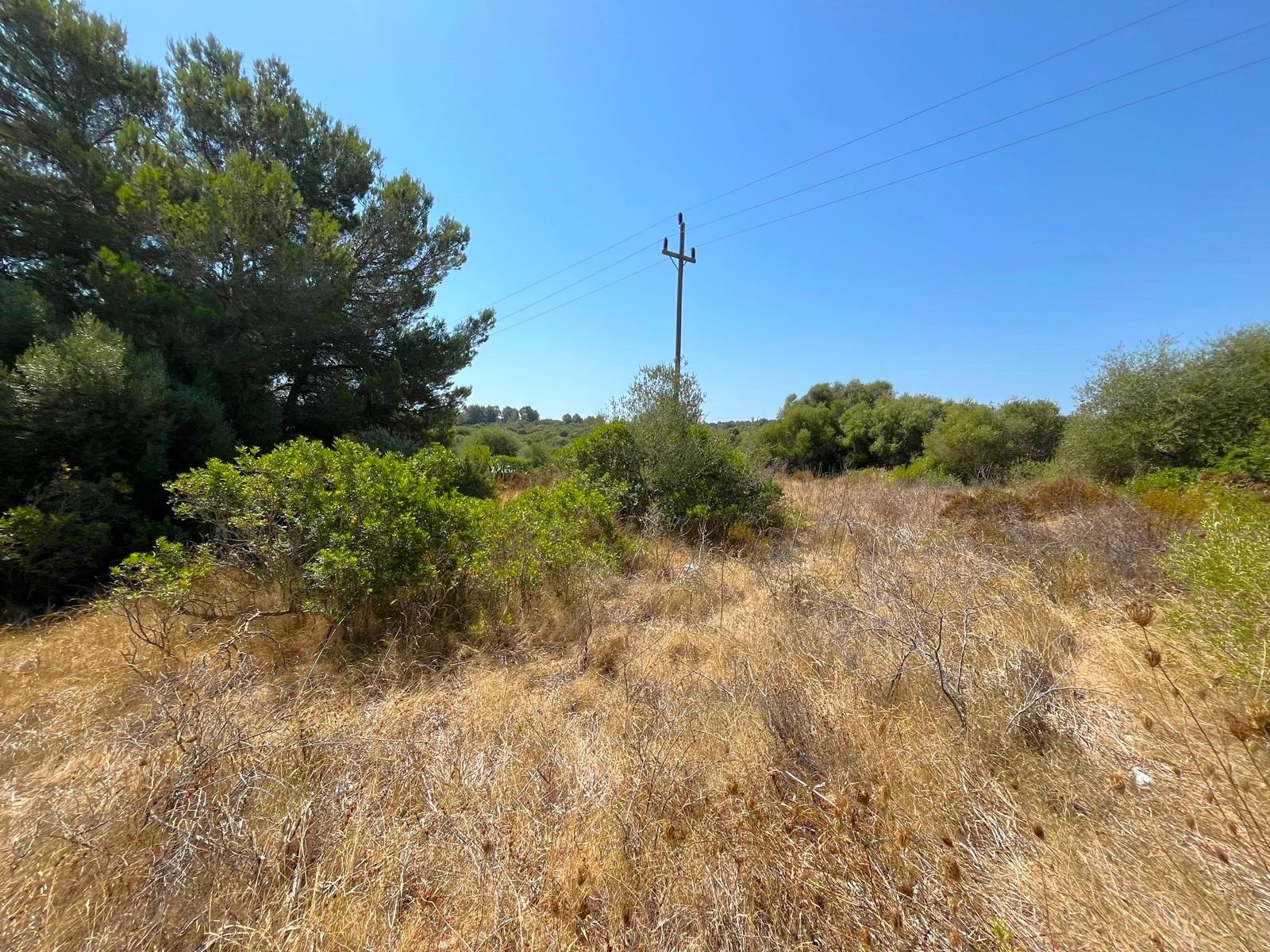 Land for sale in Manacor