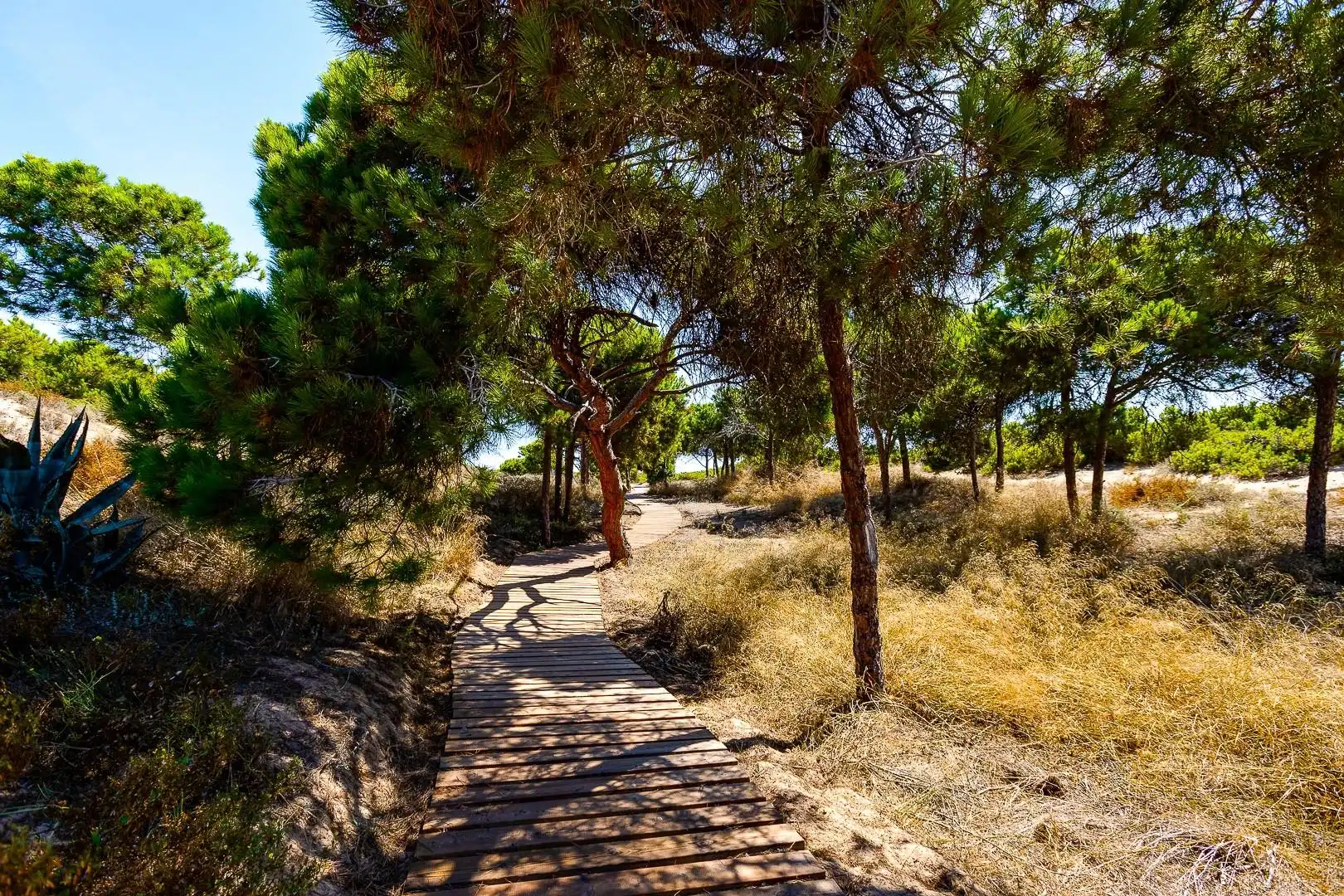 Casa a schiera con terrazza in vendita a Calle La Serviola, imagen 70