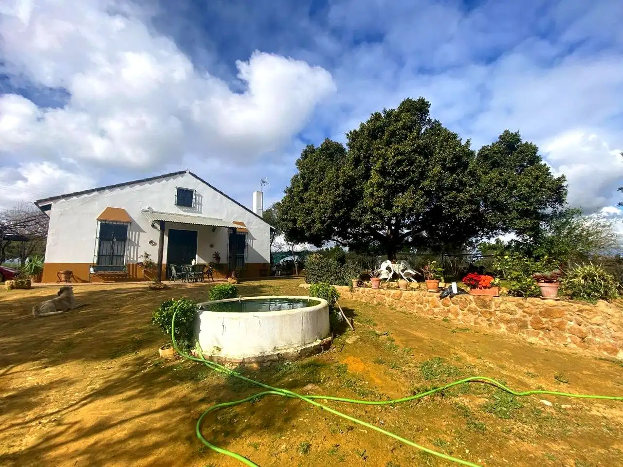 Jardín de Finca rústica en venta en El Viso del Alcor