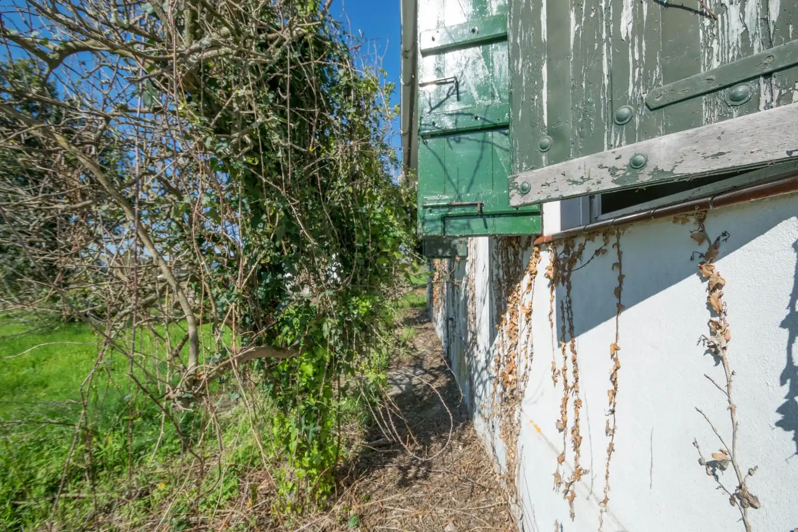Vista exterior de Casa o xalet en venda en Cambre  amb Jardí privat