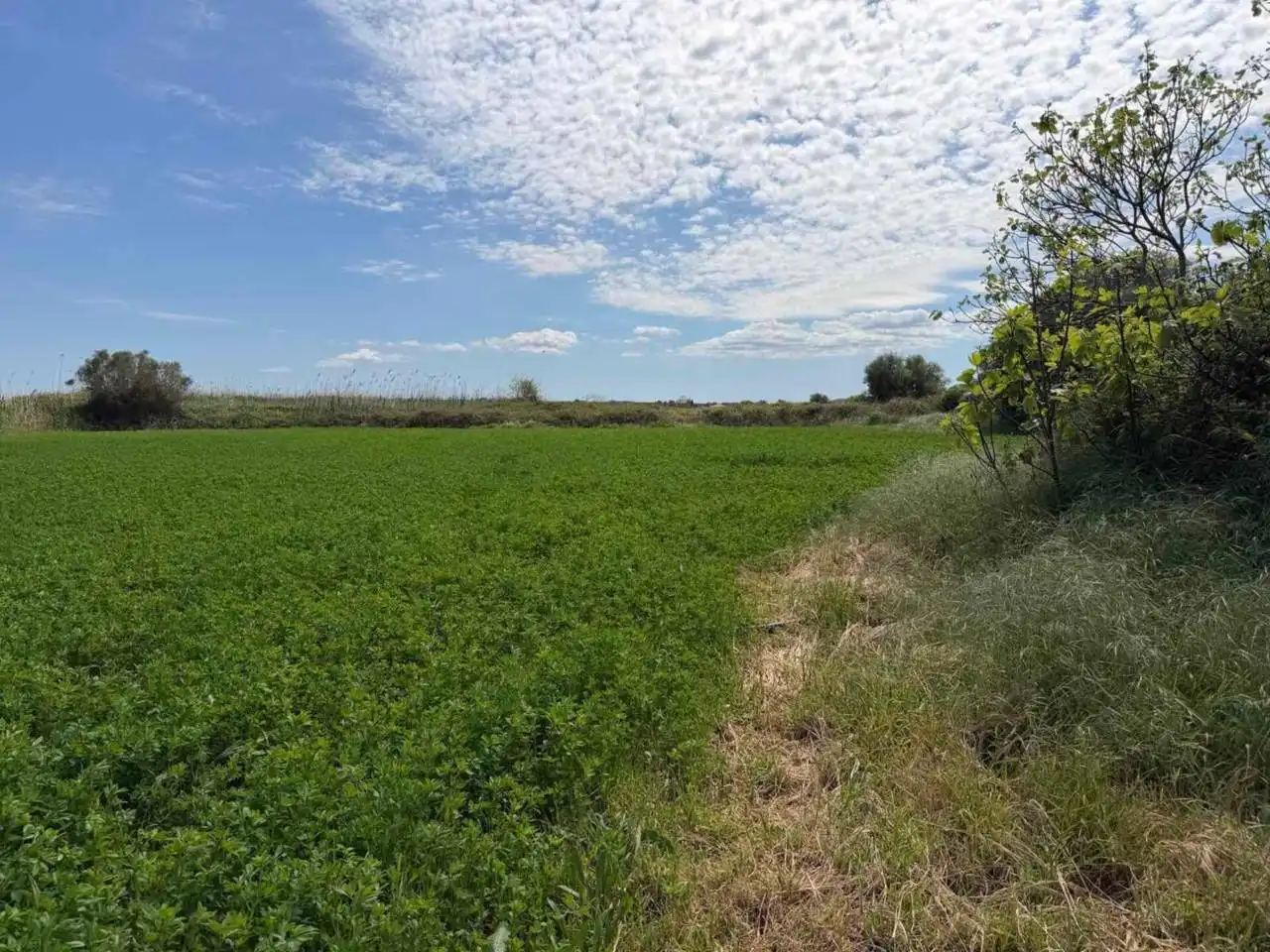 Terrain rustique à vendre à Muro, imagen 3
