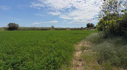 finca rustica en venta, immagine 3
