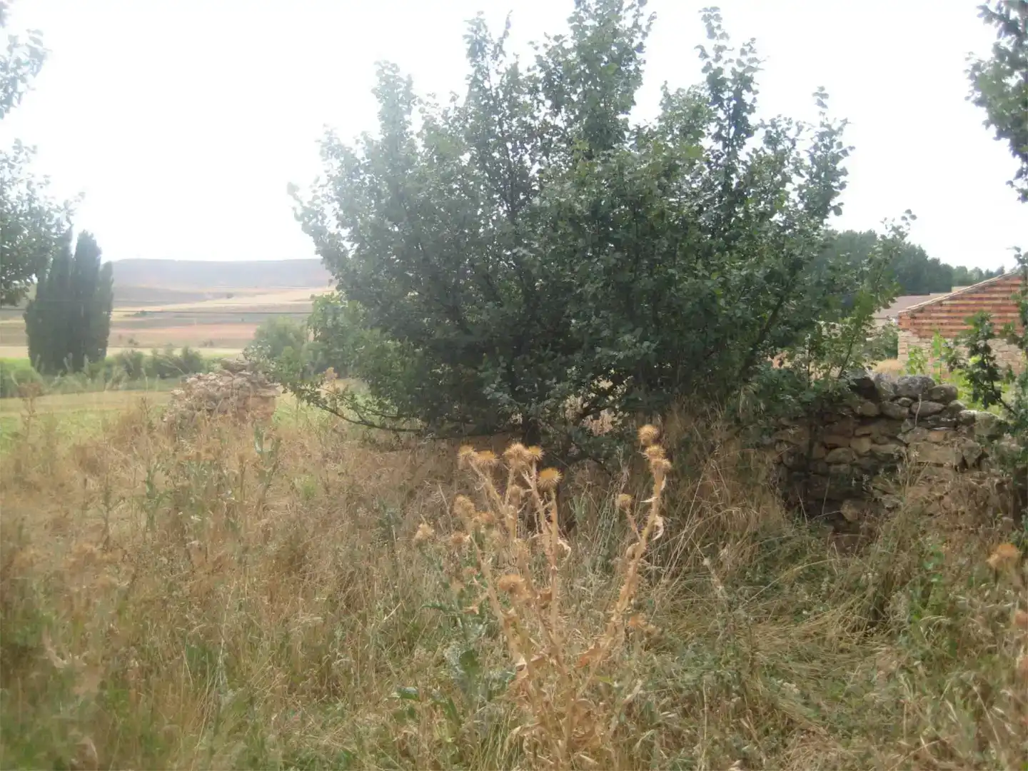 Grundstücke zum Verkauf in Caltojar