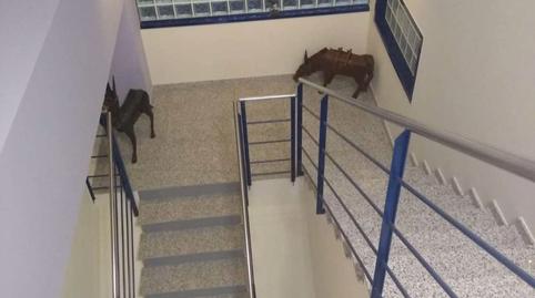 Photo 5 of Office to rent in Sant Antoni de Vilamajor, Barcelona