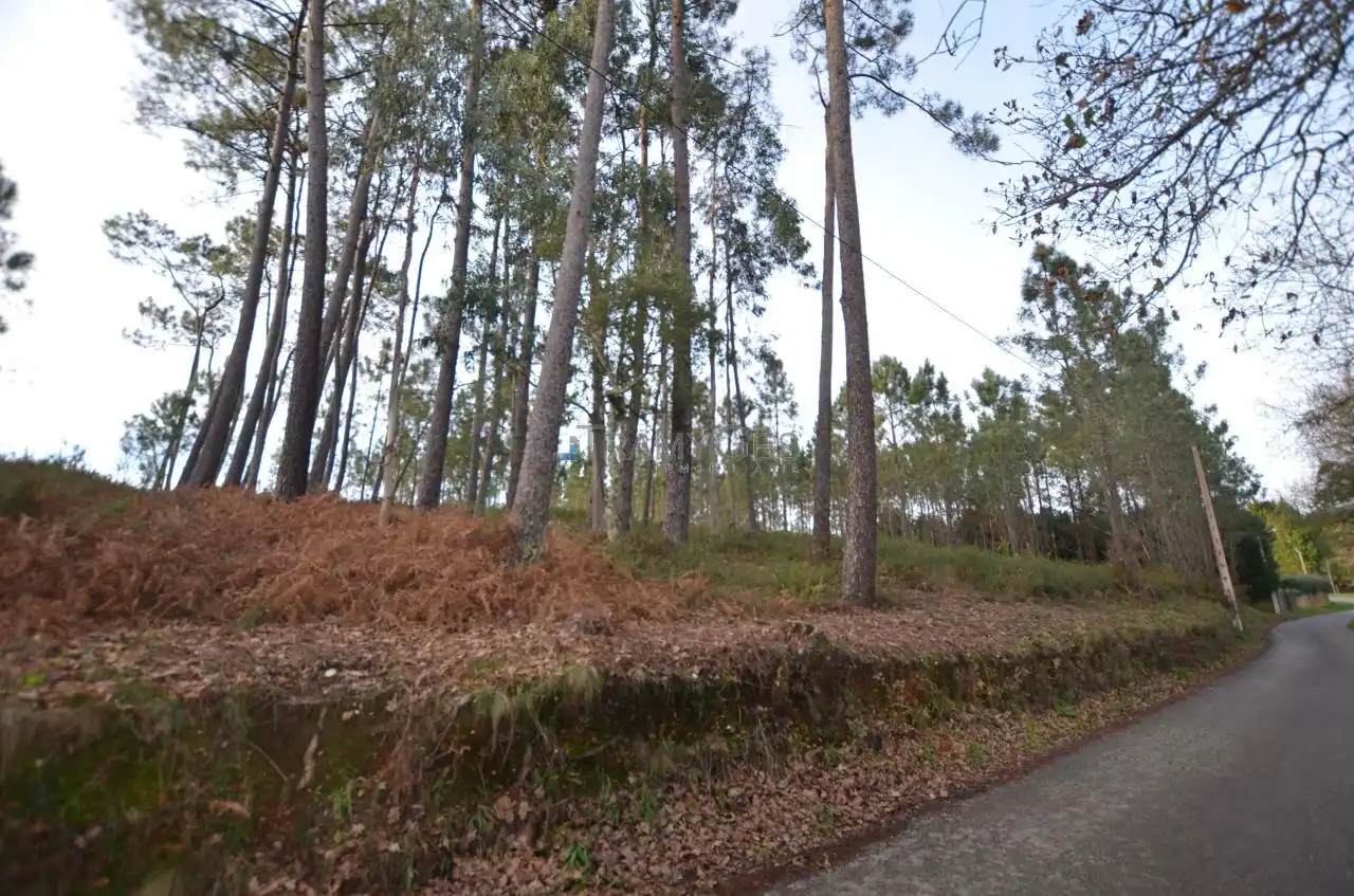 Terreno rustico in vendita a CARREGAL ABAIXO, imagen 18