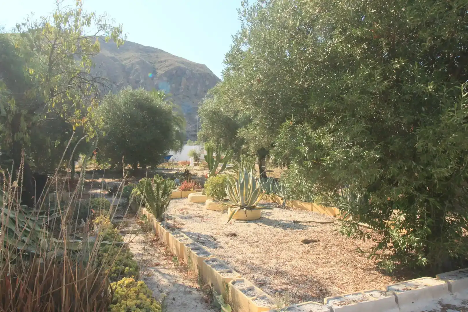 Jardí de Finca rústica en venda en Alicante / Alacant amb Aire condicionat i Piscina