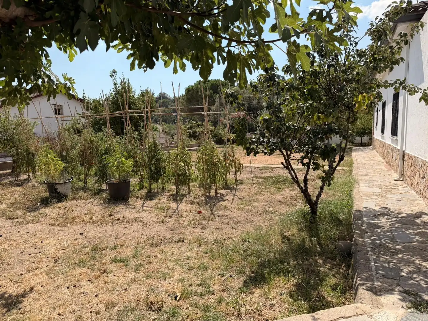 House with garden for sale in Niàgara Parc - Àgora Parc, imagen 6