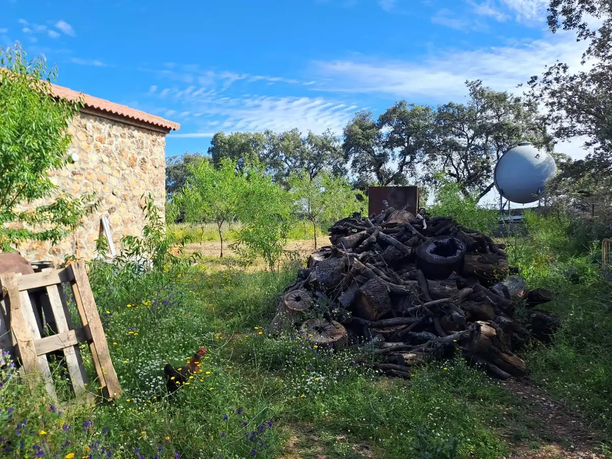 Finca rústica en venta en de la estacion, Cumbres Mayores