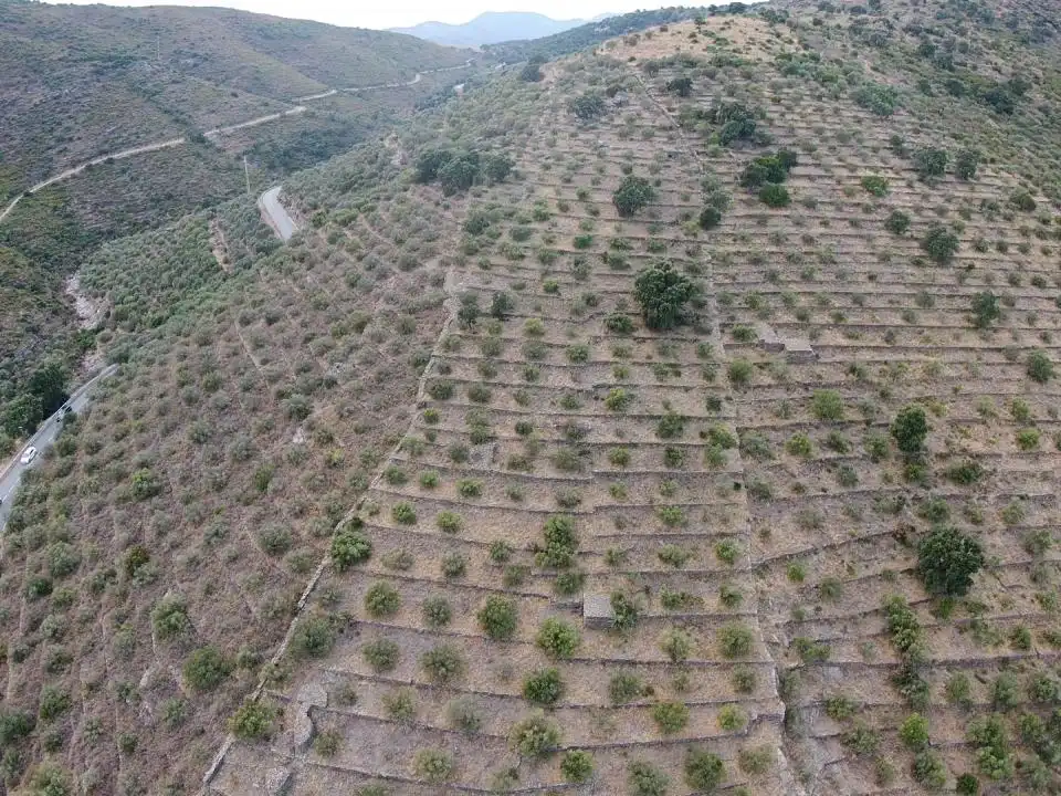 Lands and plots for sale in Territorio Surés, imagen 2