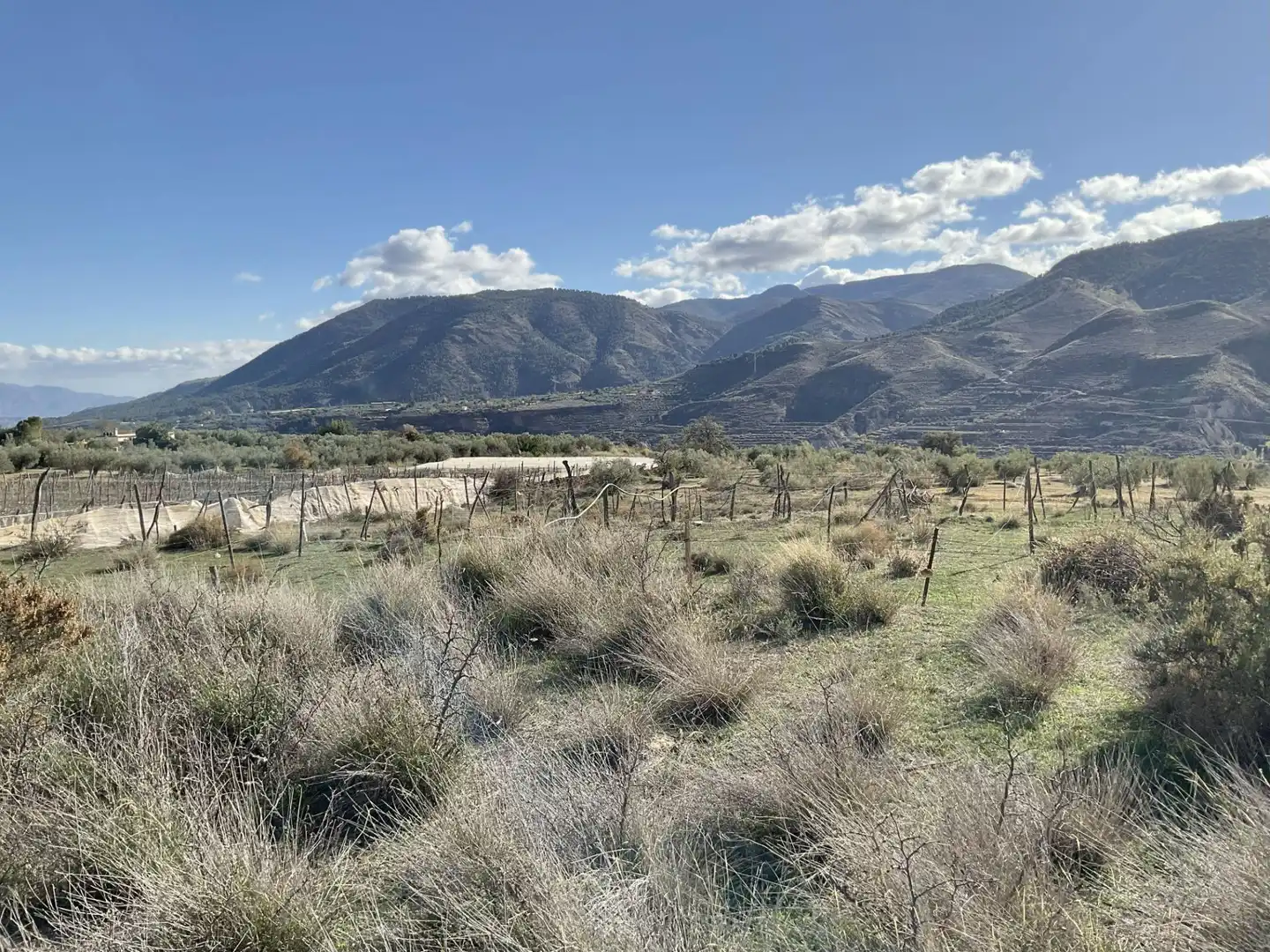 Land for sale in Padules