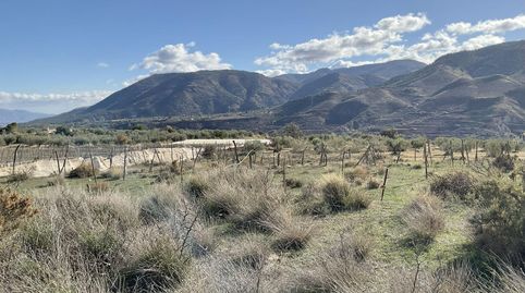Exclusiva Finca Rústica en Padules Almería, immagine 5