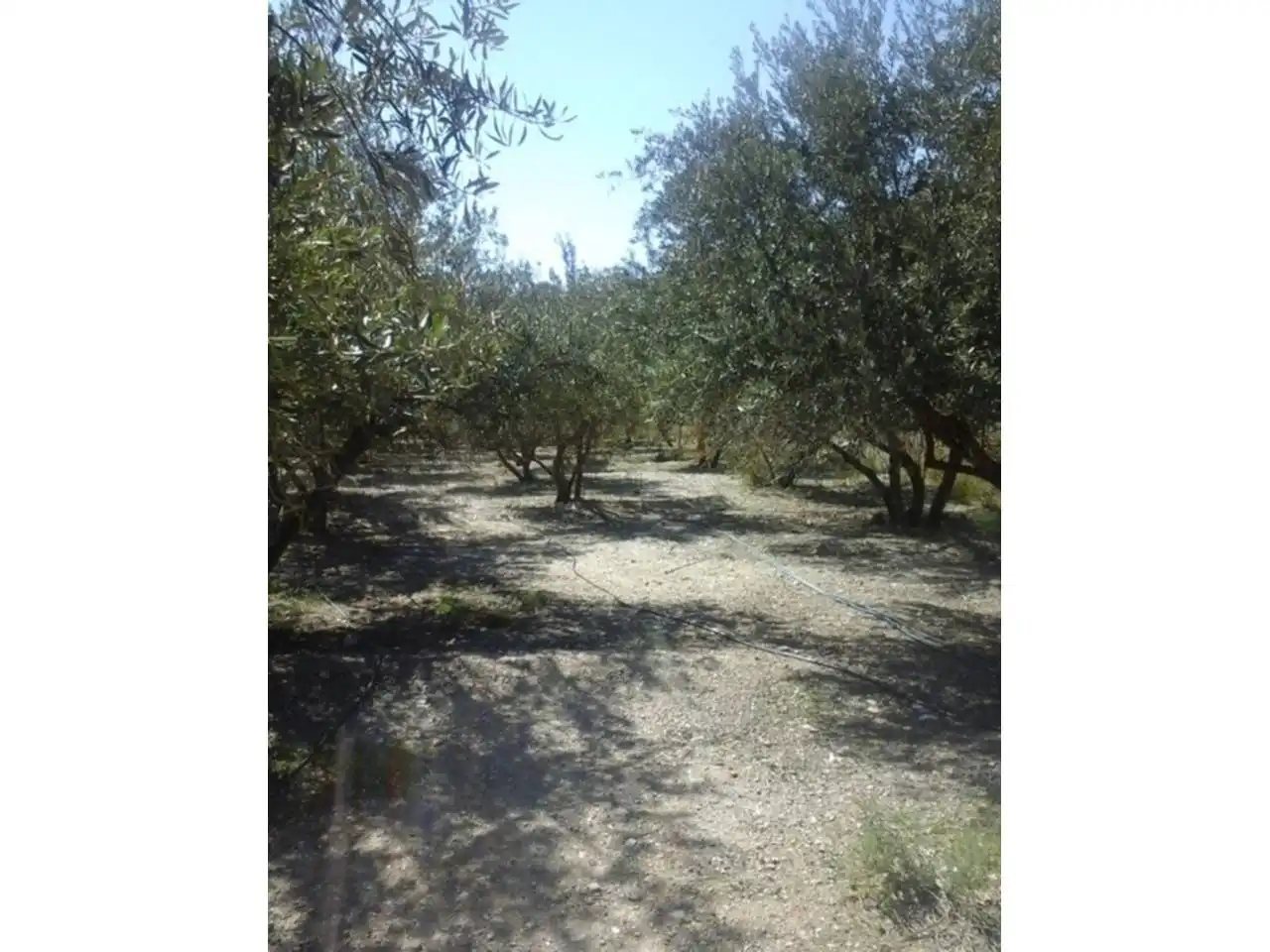Terreno rustico in vendita a Canjáyar