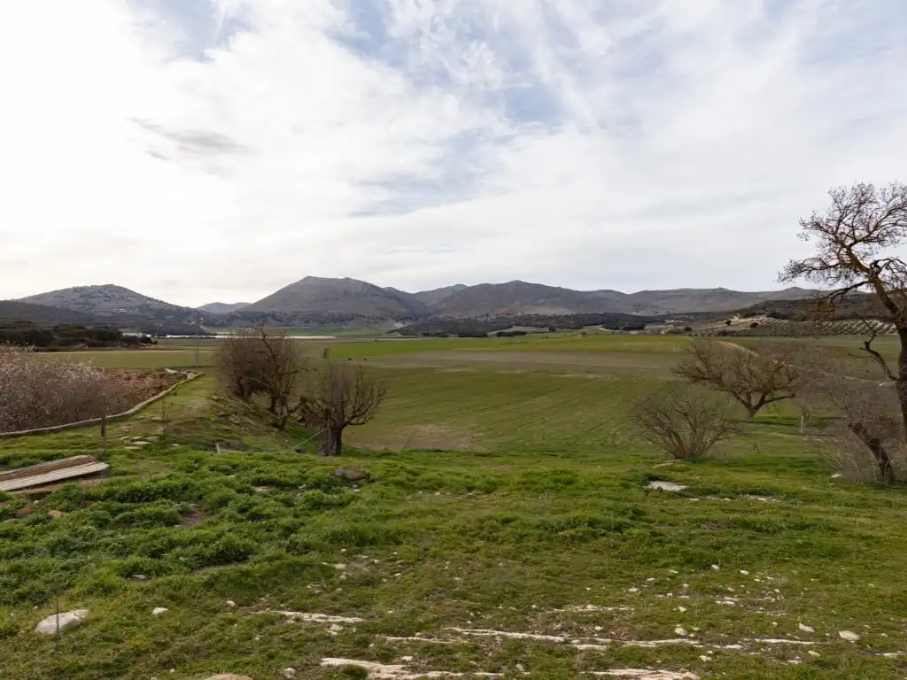 Maison à vendre à Alhama de Granada, imagen 16