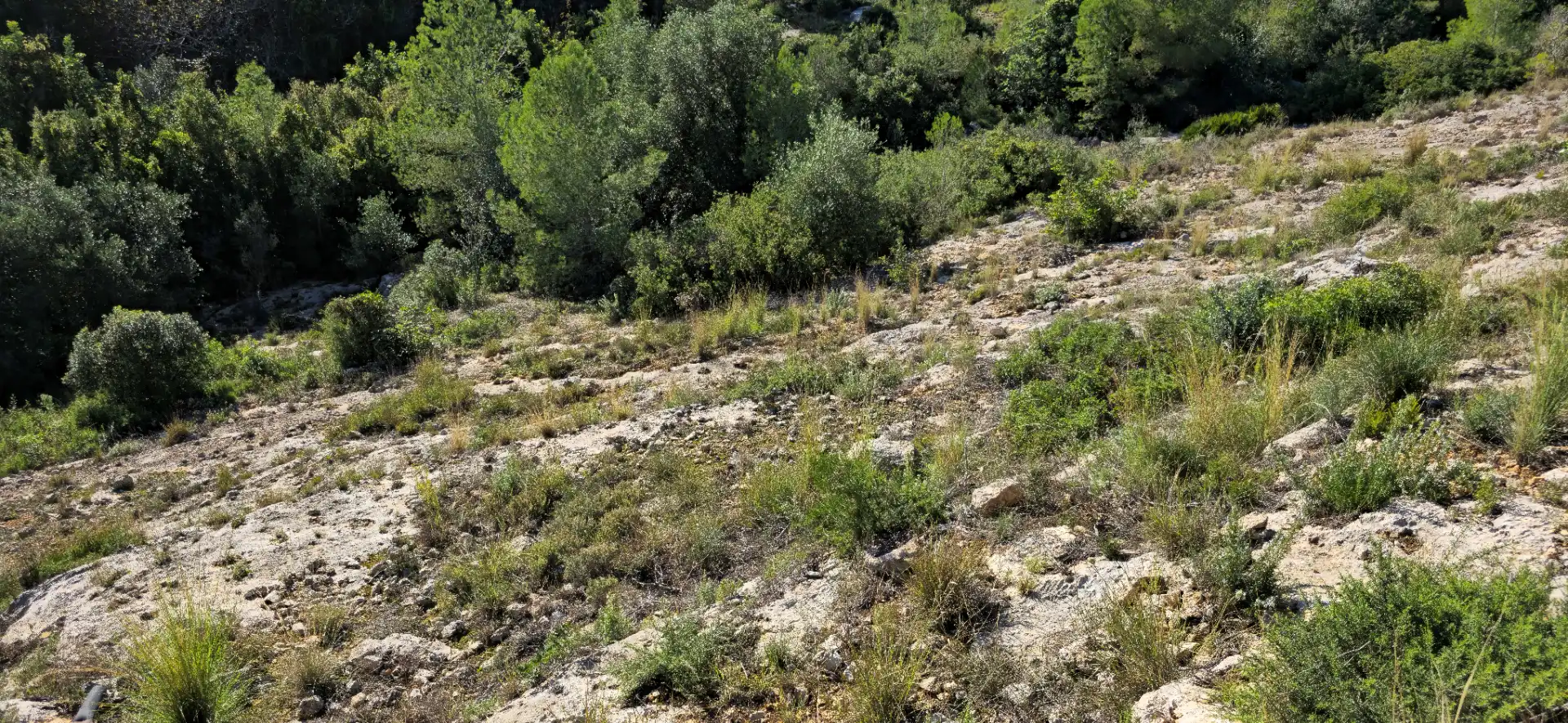 Wohnbaugrundstück zum Verkauf in Calle C/2 Lloma Molina 31, imagen 49
