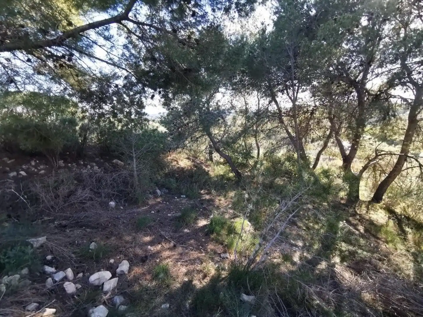 Residencial en venda en Pedralba