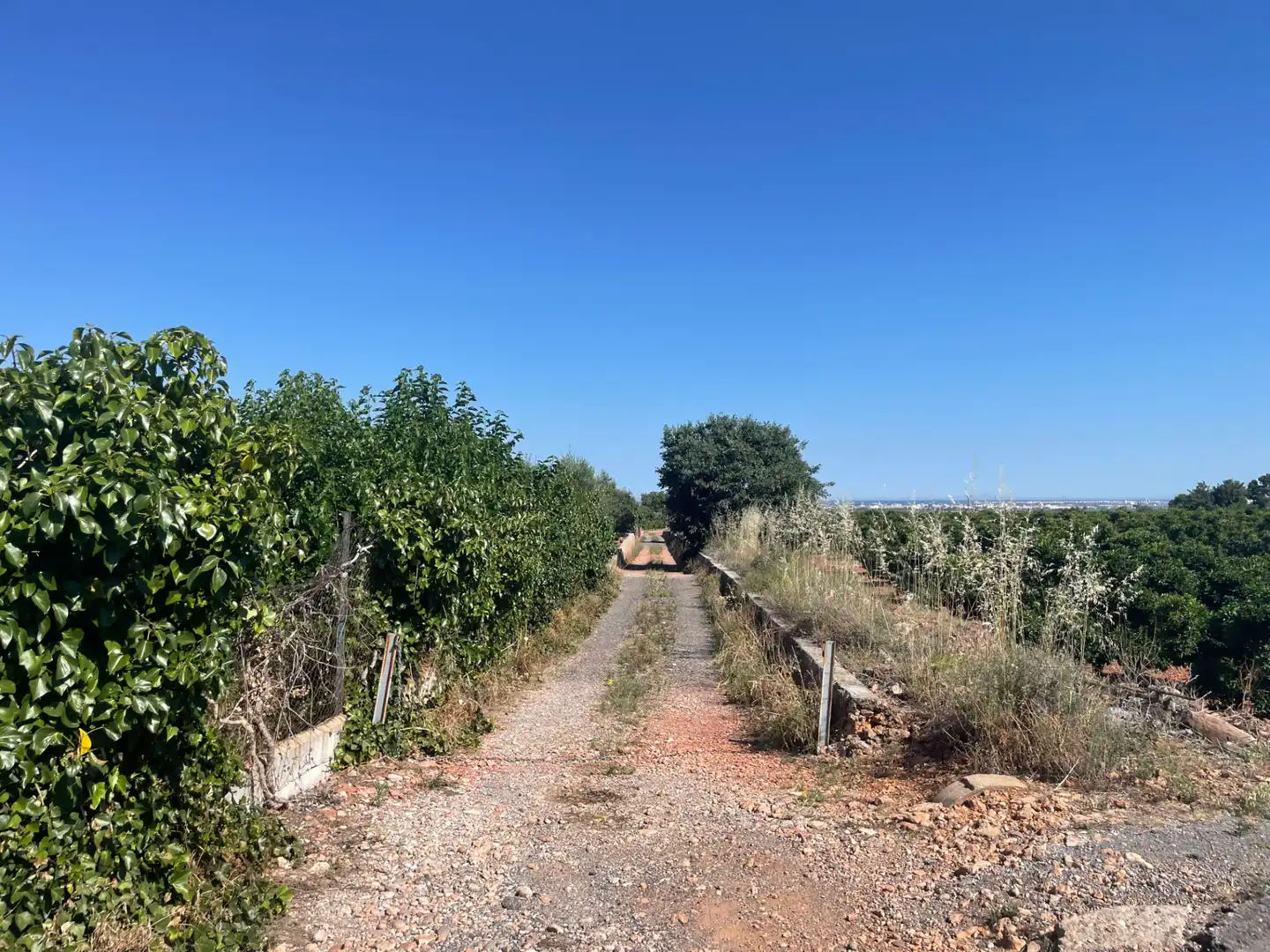 Casa o xalet en venda en Betxí amb Jardí privat, Terrassa i Piscina