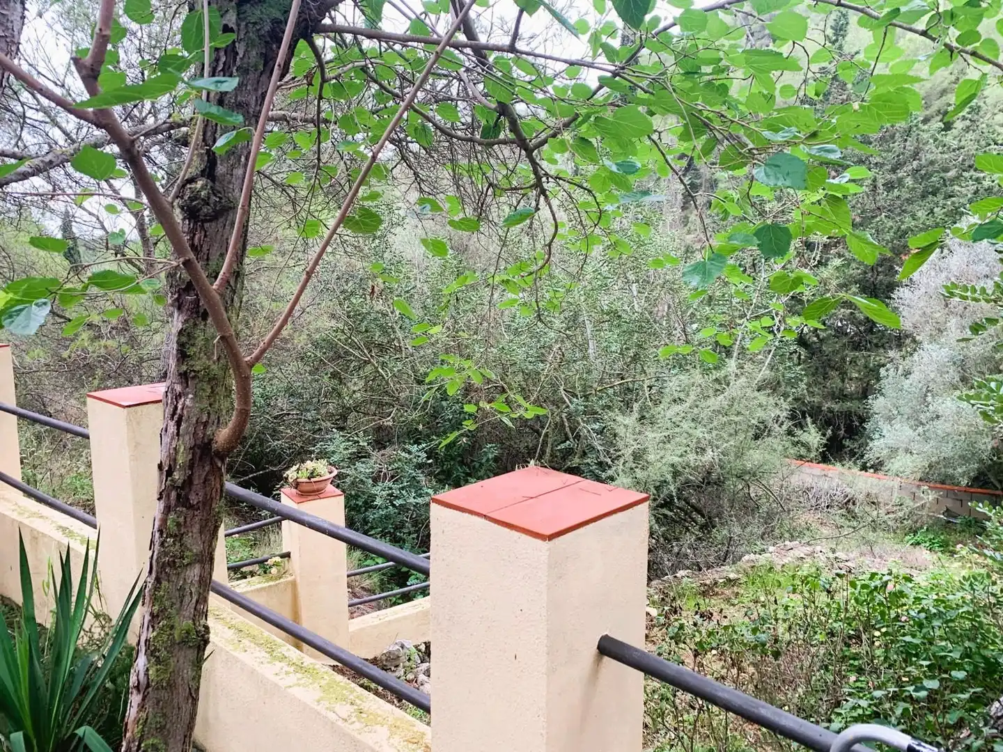 Casa rustica in vendita a La Geltrú - Sant Jordi, imagen 33