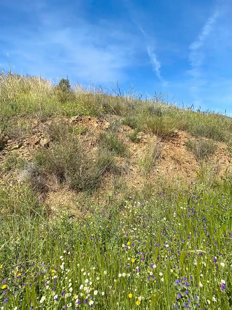 Terreni e lotti in vendita a Urbanización Pueblo Valtocado, 29650 Mijas, Málaga, Spain, imagen 7
