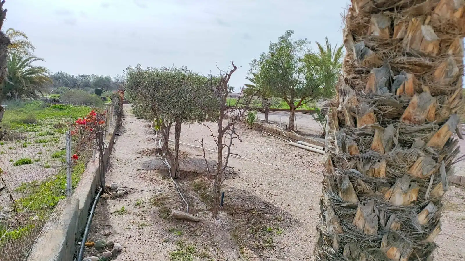 Wohnung mit Garten zum Verkauf in San Juan de los Terreros, imagen 7