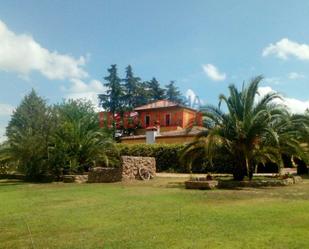 Jardí de Finca rústica en venda en Parrillas