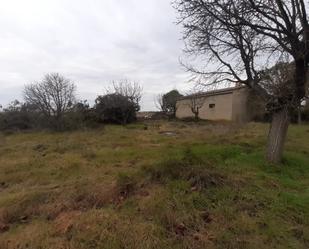 Land for sale in Ribera del Fresno