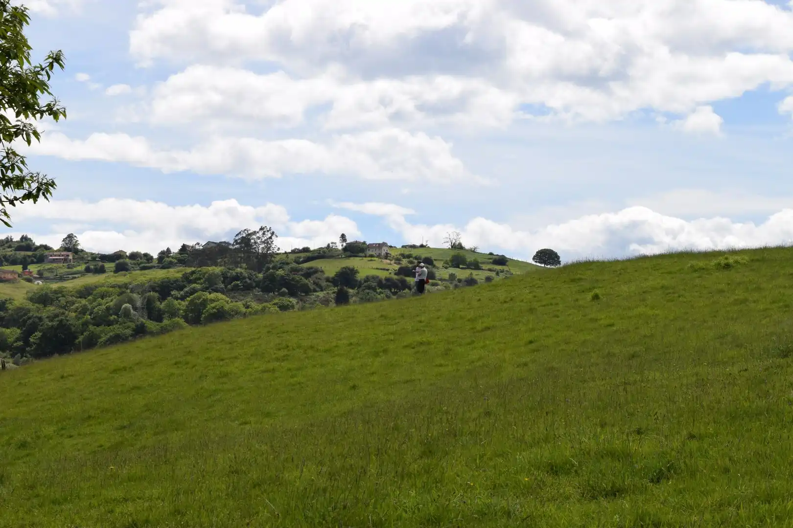 Terreno residenziale in vendita a Carretera Los Molinos 19, imagen 9