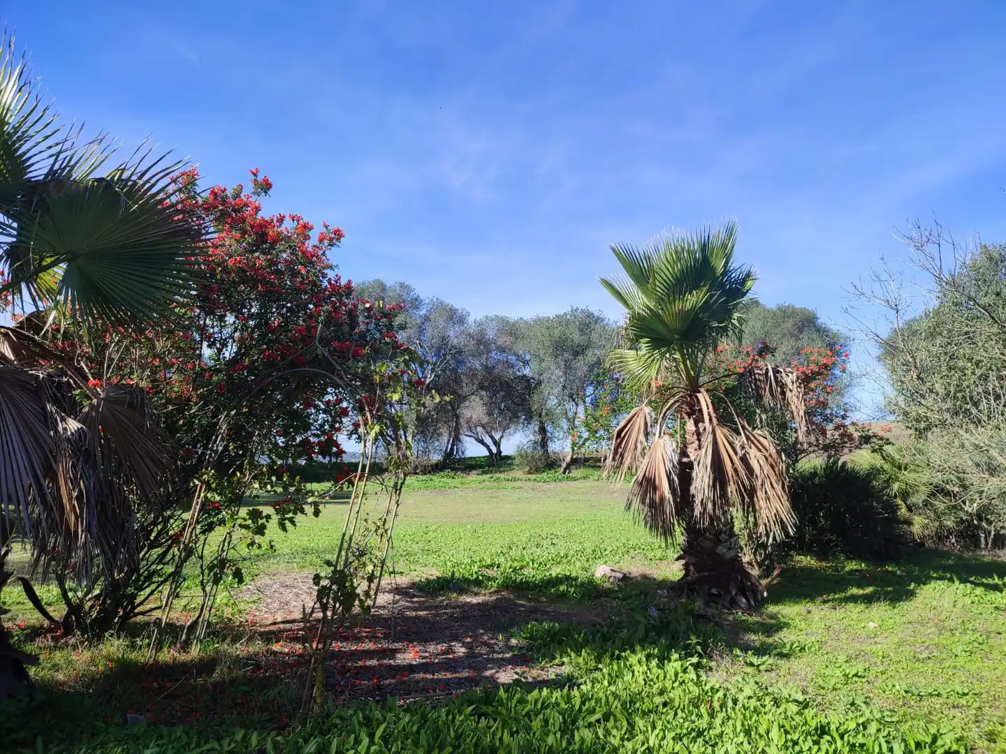 Haus oder Chalet zum Verkauf in Vejer de la Frontera mit Heizung, Privatgarten und Parkett