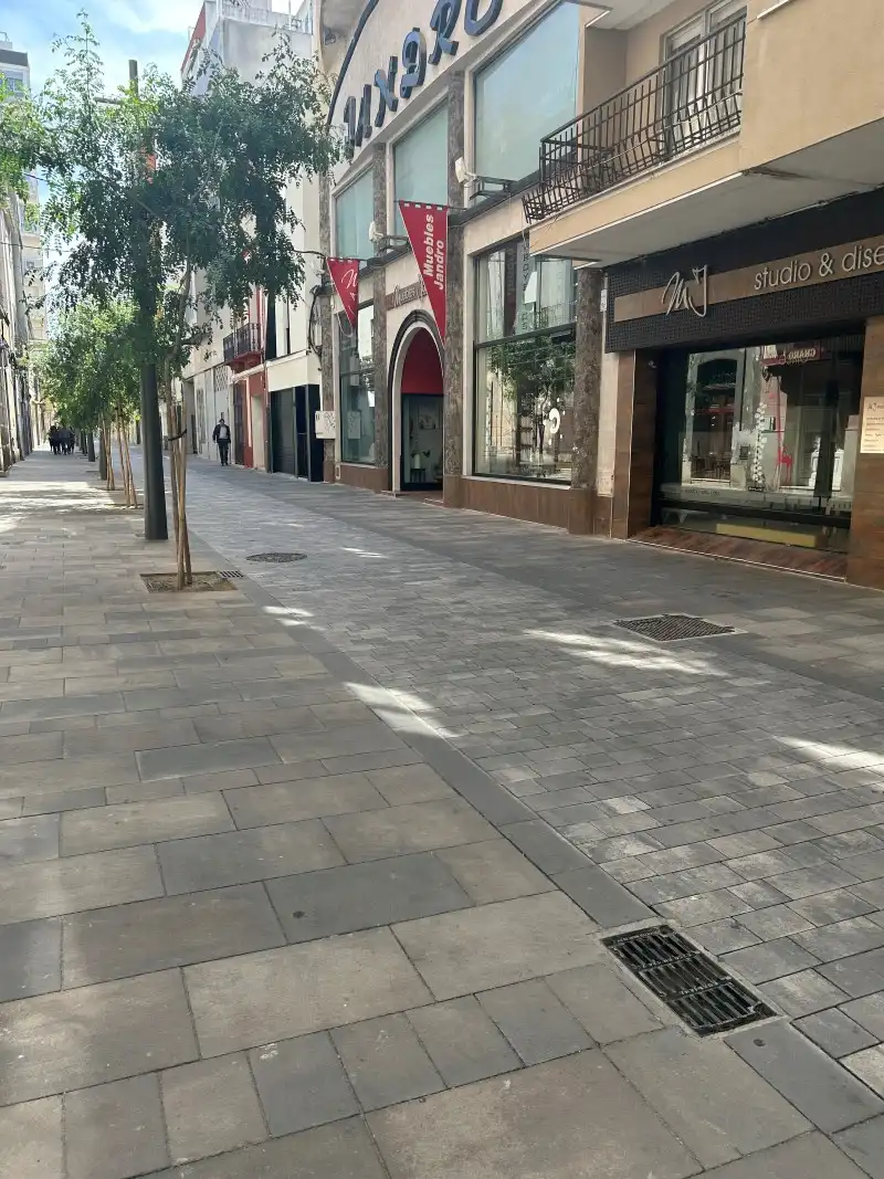Local comercial en venta en Carrer Moran Roda, imagen 8