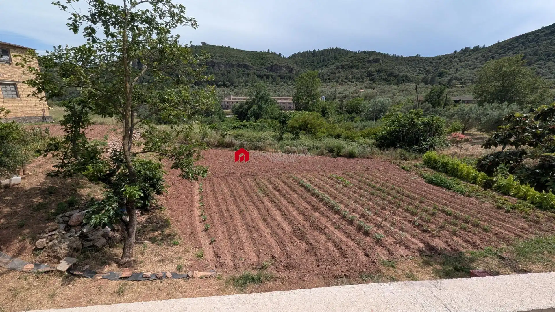 Grundstücke zum Verkauf in Alfara de Carles