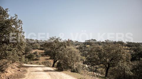 Foto 4 de Finca rústica en venta en Guadalcanal, Sevilla