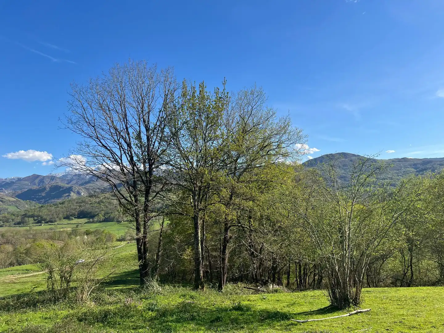 Terreni e lotti in vendita a Cangas de Onís, imagen 5