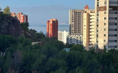 Exterior view of Apartment for sale in Benidorm  with Private garden, Terrace and Community pool