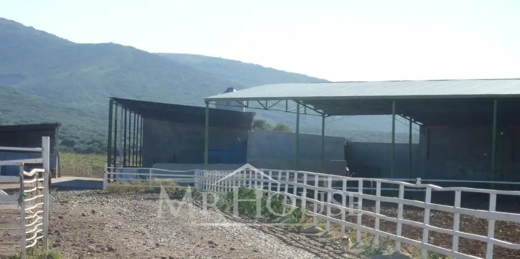 Terreni e lotti in vendita a Los Yébenes, imagen 20