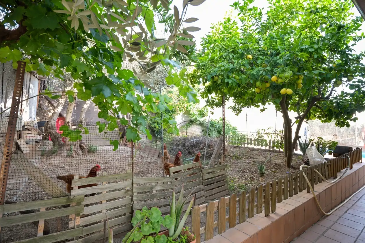 House with pool for sale in Carrer Curt, imagen 10